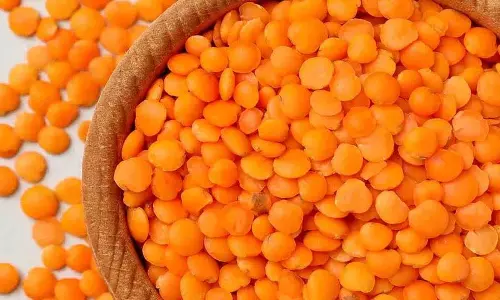 क्या असली मैसूर दाल खाना फायदेमंद है? क्या यह स्वास्थ्यवर्धक है? किसे नहीं खानी चाहिए?