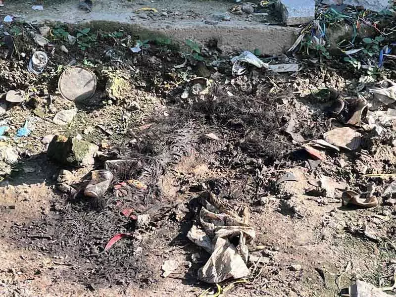 कार्यकर्ताओं ने पशु क्रूरता का आरोप लगाया, पुलिस ने गड़बड़ी से इनकार किया कार्यकर्ताओं ने पशु क्रूरता का आरोप लगाया, पुलिस ने गड़बड़ी से इनकार किया