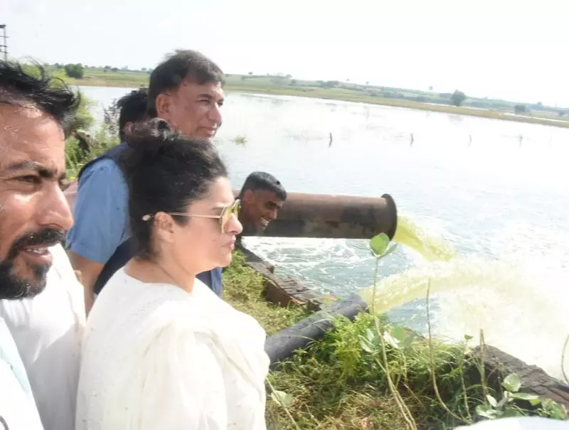 Haryana की सिंचाई मंत्री श्रुति चौधरी ने बाढ़ से निपटने के लिए उठाए कदम बताए Haryana की सिंचाई मंत्री श्रुति चौधरी ने बाढ़ से निपटने के लिए उठाए कदम बताए