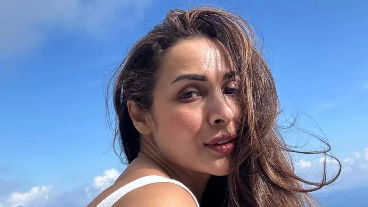 क्या आइटम सॉन्ग Munni Badnaam में मलायका अरोड़ा को नहीं चाहते थे सलमान खान और अरबाज खान? क्या आइटम सॉन्ग Munni Badnaam में मलायका अरोड़ा को नहीं चाहते थे सलमान खान और अरबाज खान?