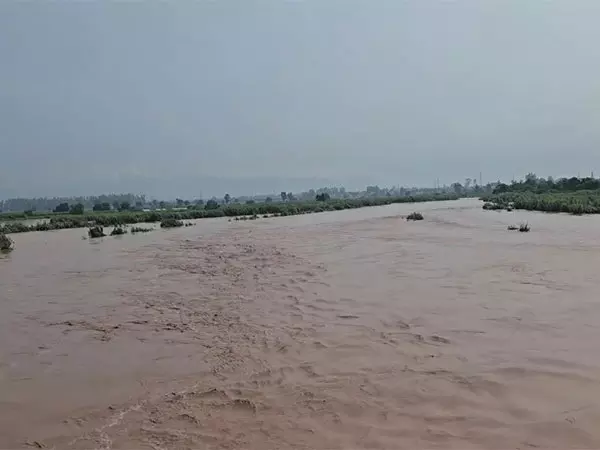 Pakistan: पंजाब में बाढ़ से तबाही के बीच शाहदरा के निवासी कीचड़ से भरे घरों में लौटे Pakistan: पंजाब में बाढ़ से तबाही के बीच शाहदरा के निवासी कीचड़ से भरे घरों में लौटे