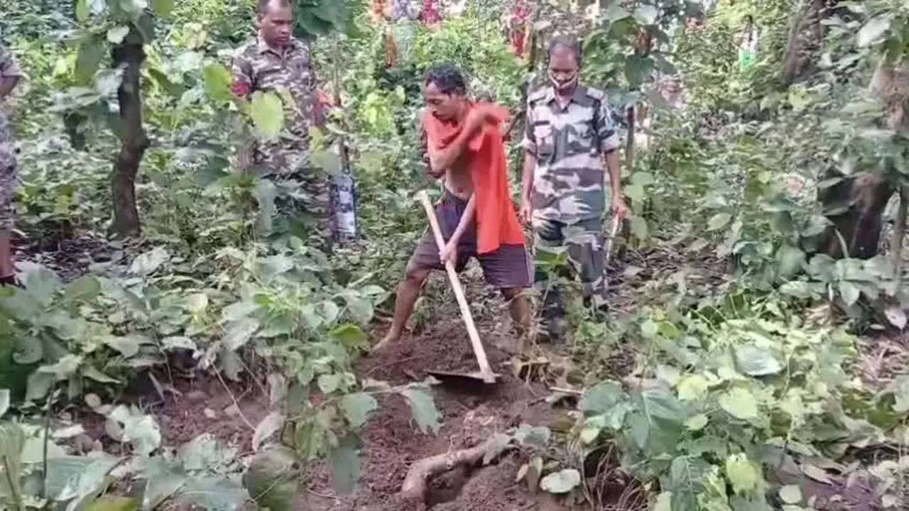 लकड़ी लाने गए थे जंगल, पत्नी को दफनाकर घर लौट आया पति लकड़ी लाने गए थे जंगल, पत्नी को दफनाकर घर लौट आया पति