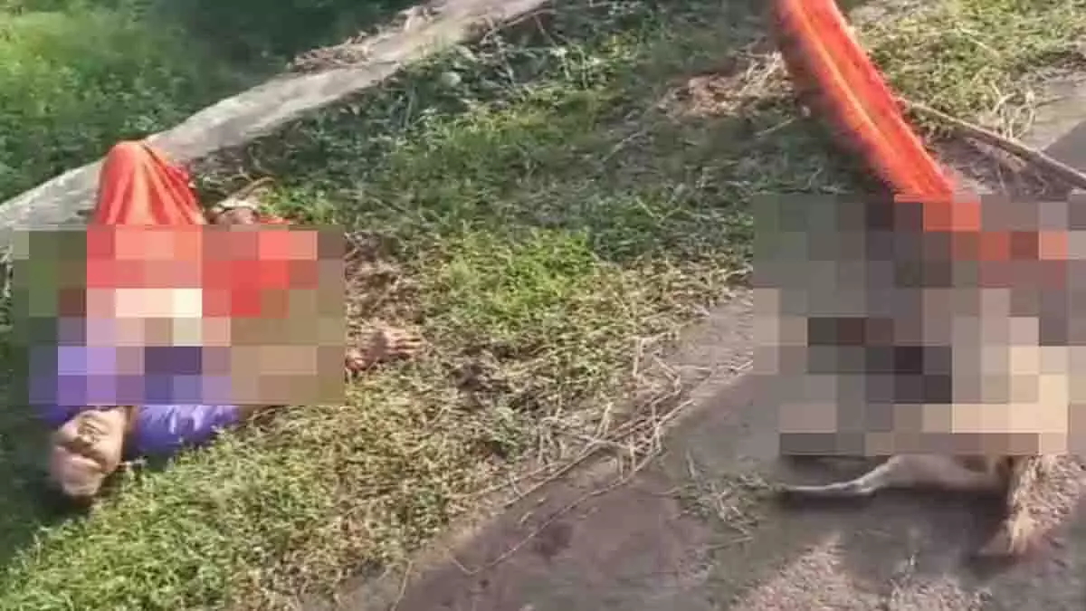 MP: सियार ने किया हमला, बुजुर्ग महिला ने साड़ी से बना ली फांसी का फंदा MP: सियार ने किया हमला, बुजुर्ग महिला ने साड़ी से बना ली फांसी का फंदा