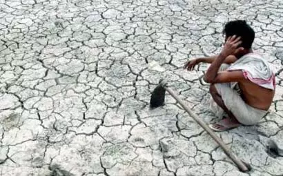 Sultani संकट के शिकार! एक महीने में 101 किसानों ने मौत को गले लगाया Sultani संकट के शिकार! एक महीने में 101 किसानों ने मौत को गले लगाया