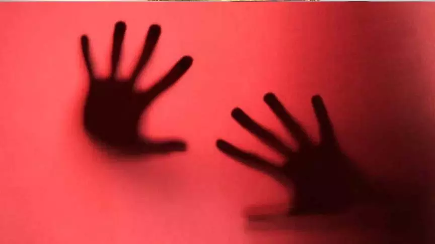 नाबालिग बच्ची से बलात्कार मामले में आरोपी को दी 20 साल की सजा नाबालिग बच्ची से बलात्कार मामले में आरोपी को दी 20 साल की सजा