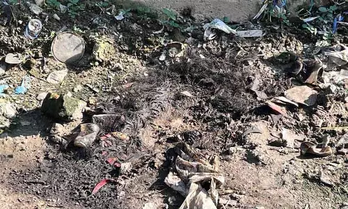 कार्यकर्ताओं ने पशु क्रूरता का आरोप लगाया, पुलिस ने गड़बड़ी से इनकार किया कार्यकर्ताओं ने पशु क्रूरता का आरोप लगाया, पुलिस ने गड़बड़ी से इनकार किया