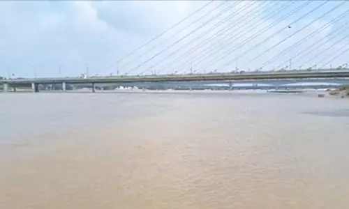 सिग्नेचर ब्रिज से महिला ने लगाई छलांग, सर्च ऑपरेशन जारी