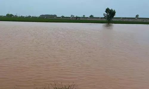 Haryana के किसान संघ राहत से असंतुष्ट, प्रति एकड़ 50 हजार रुपये की मांग Haryana के किसान संघ राहत से असंतुष्ट, प्रति एकड़ 50 हजार रुपये की मांग