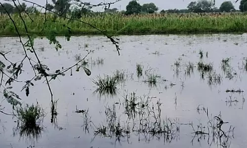Haryana :  रेवाड़ी के 107 गांव जलभराव से प्रभावित, फसल नुकसान दर्ज करने के लिए पोर्टल खोला गया