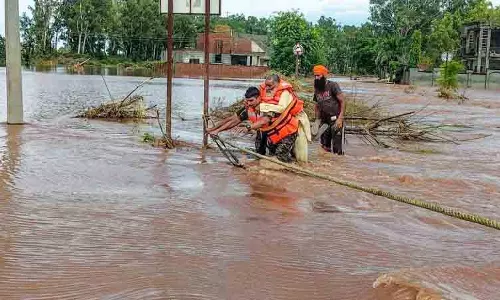 Punjab में सर्पदंश के मामलों में वृद्धि Punjab में सर्पदंश के मामलों में वृद्धि