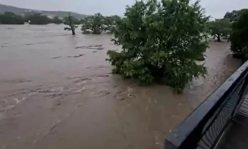 इंडस टावर्स ने पंजाब, J&K और हिमाचल में बाढ़ पीड़ितों को भेजी राहत इंडस टावर्स ने पंजाब, J&K और हिमाचल में बाढ़ पीड़ितों को भेजी राहत