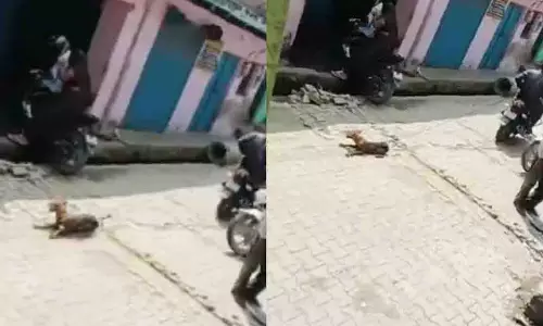 UP: अलीगढ़ में दो लोगों ने कुत्ते को बाइक के पीछे घसीटा, शिकायत दर्ज UP: अलीगढ़ में दो लोगों ने कुत्ते को बाइक के पीछे घसीटा, शिकायत दर्ज