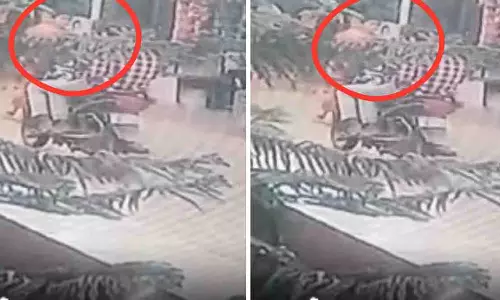 Jabalpur: महिला पर वारदात, दिनदहाड़े सोने का मंगलसूत्र छीना गया Jabalpur: महिला पर वारदात, दिनदहाड़े सोने का मंगलसूत्र छीना गया