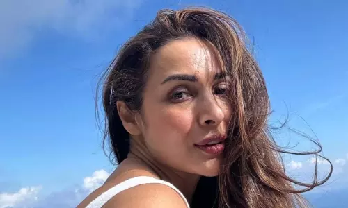 क्या आइटम सॉन्ग Munni Badnaam में मलायका अरोड़ा को नहीं चाहते थे सलमान खान और अरबाज खान?