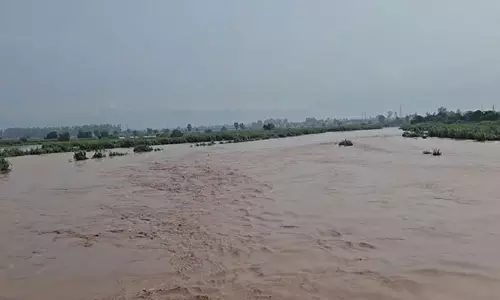 Pakistan: पंजाब में बाढ़ से तबाही के बीच शाहदरा के निवासी कीचड़ से भरे घरों में लौटे Pakistan: पंजाब में बाढ़ से तबाही के बीच शाहदरा के निवासी कीचड़ से भरे घरों में लौटे