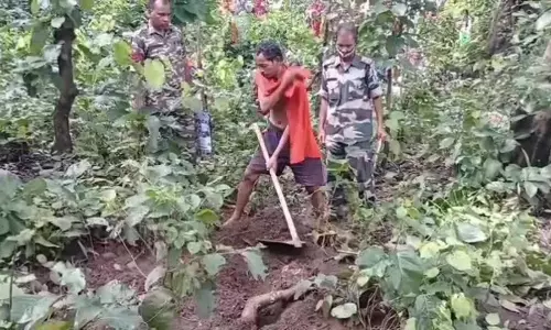 लकड़ी लाने गए थे जंगल, पत्नी को दफनाकर घर लौट आया पति लकड़ी लाने गए थे जंगल, पत्नी को दफनाकर घर लौट आया पति