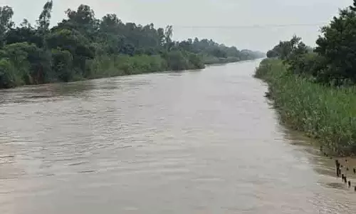 Ludhiana: नीलोन नहर, तूफानों के बीच एक अविरल धारा Ludhiana: नीलोन नहर, तूफानों के बीच एक अविरल धारा