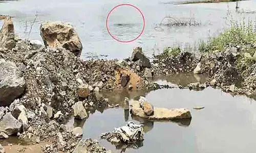 Polavaram: निचले कोफ़रडैम के लिए बट्रेस सुरक्षा Polavaram: निचले कोफ़रडैम के लिए बट्रेस सुरक्षा