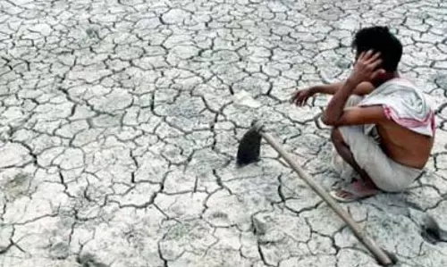 Sultani संकट के शिकार! एक महीने में 101 किसानों ने मौत को गले लगाया