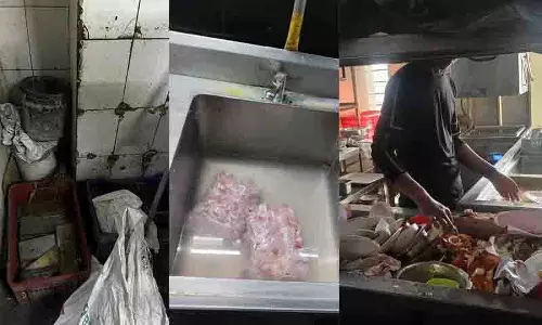 Hyderabad में एब्सोल्यूट बारबेक्यू की कई शाखाओं में कॉकरोच और एक्सपायरी डेट का खाना मिला