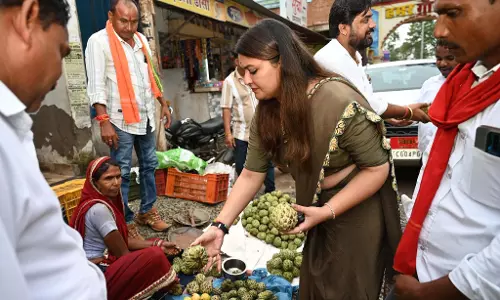 विधायक भावना बोहरा ने गौरेला-पेंड्रा-मरवाही में सीताफल बेचती बहन से खरीदा फल