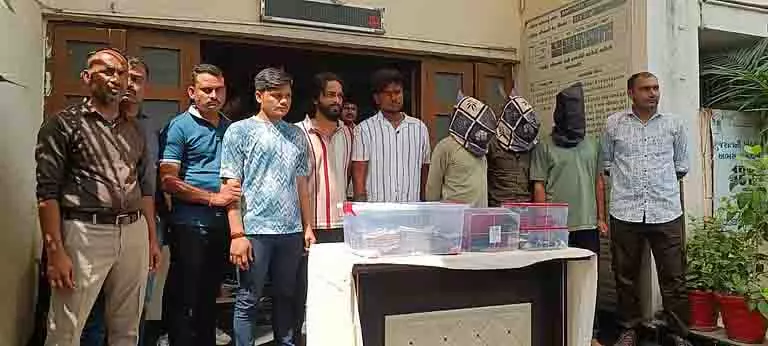 Ahmedabad: 53 लाख रुपये की लूट का पर्दाफाश, आरोपी के खिलाफ कड़ी कार्रवाई Ahmedabad: 53 लाख रुपये की लूट का पर्दाफाश, आरोपी के खिलाफ कड़ी कार्रवाई