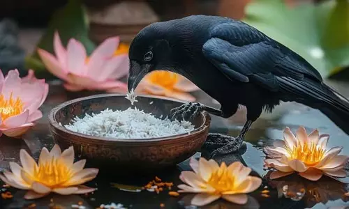 Pitru Paksha 2025: पितृ पक्ष में इन नियमों का करें पालन, मिलेगा पितरों का आशीर्वाद