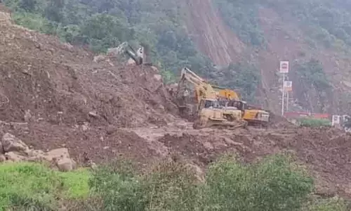 राजमार्ग बंद, ट्रक फंसे; कश्मीरी उत्पादकों ने सड़े सेब फेंके