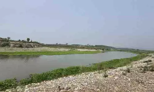 Punjab बाढ़, भाखड़ा से ज़्यादा सतलुज की सहायक नदियों ने बाढ़ में योगदान दिया Punjab बाढ़, भाखड़ा से ज़्यादा सतलुज की सहायक नदियों ने बाढ़ में योगदान दिया