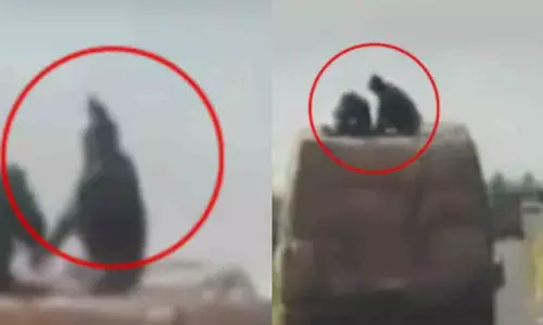 Maharashtra: धाराशिव में फिल्मी डकैती जैसी घटना कैमरे में कैद Maharashtra: धाराशिव में फिल्मी डकैती जैसी घटना कैमरे में कैद