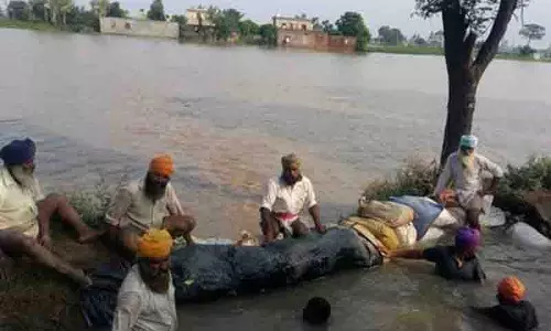पानी घटने के बाद, Sultanpur Lodhi में टूटे रास्तों को बंद करेंगे ग्रामीण पानी घटने के बाद, Sultanpur Lodhi में टूटे रास्तों को बंद करेंगे ग्रामीण