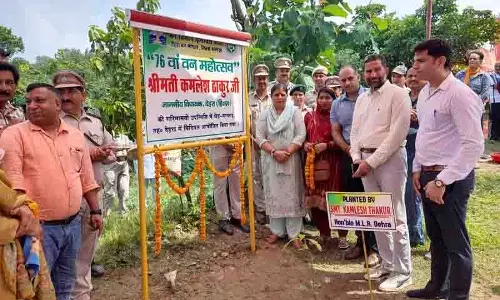 Dehra MLA ने बड़े पैमाने पर पौधारोपण अभियान का शुभारंभ किया