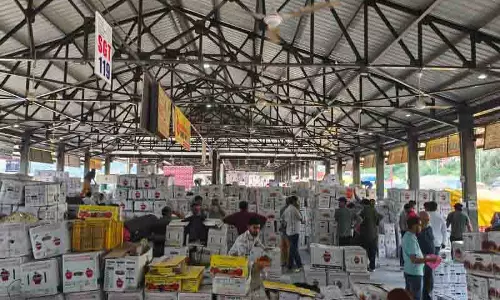 Solan में सड़क नेटवर्क क्षतिग्रस्त, सेब की आवक में कमी Solan में सड़क नेटवर्क क्षतिग्रस्त, सेब की आवक में कमी