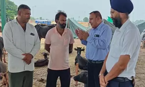 पशुओं की सुरक्षा के लिए अलर्ट मोड पर पशुपालन विभाग, 32 टीमें तैनात