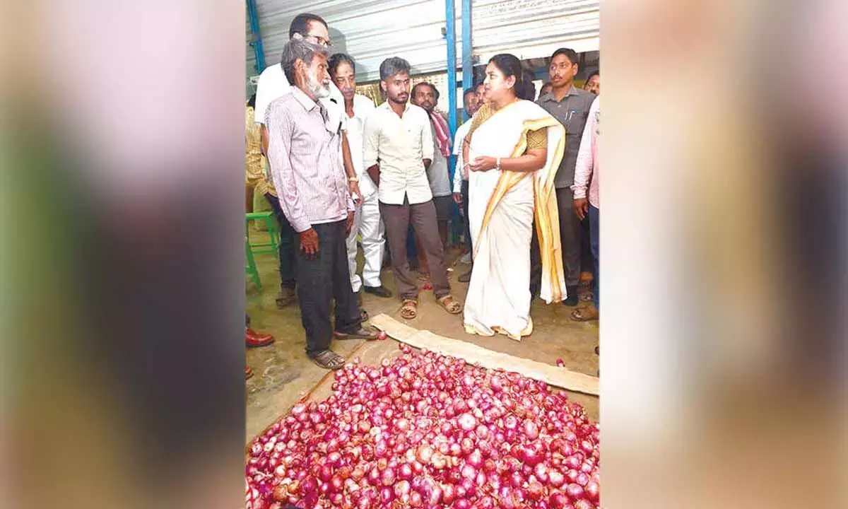 Andhra: कुरनूल प्याज के लिए कलेक्टर की मांग Andhra: कुरनूल प्याज के लिए कलेक्टर की मांग