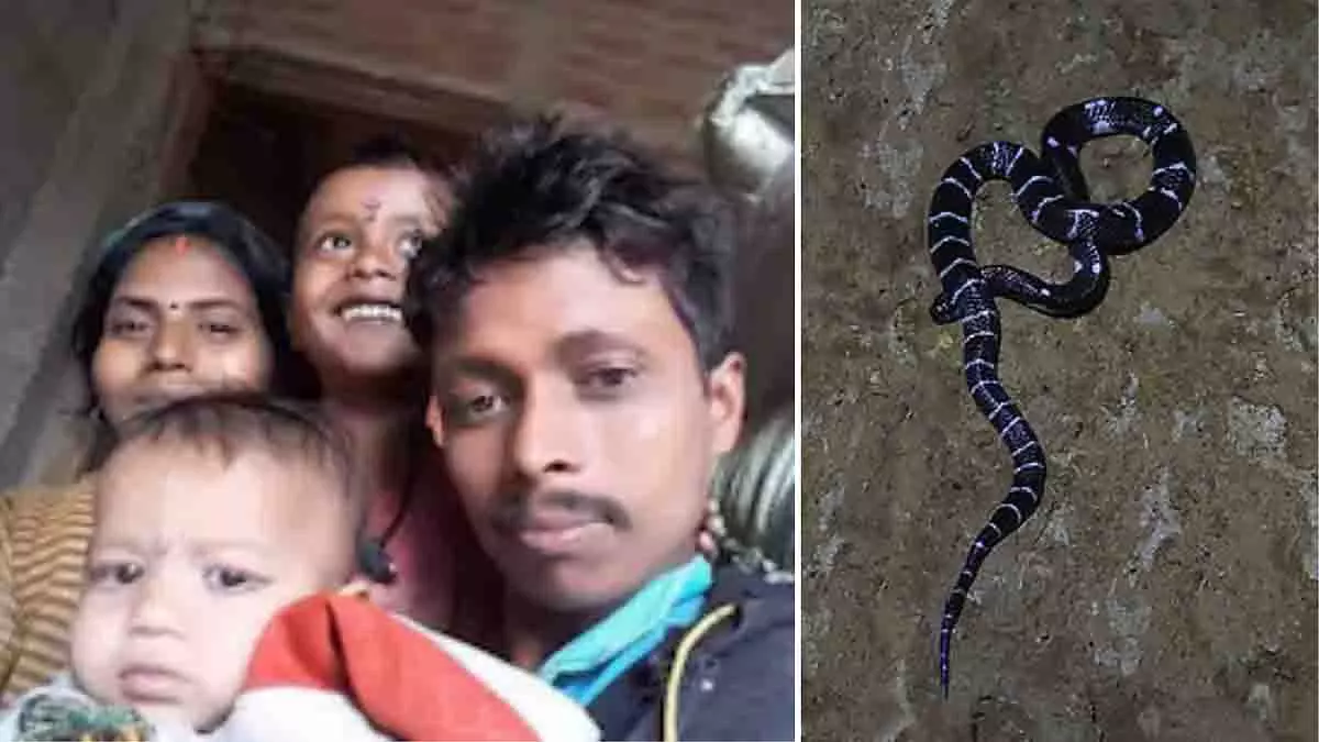 Madhya Pradesh: बालाघाट में टीवी देखते समय दो भाइयों की सर्पदंश से मौत Madhya Pradesh: बालाघाट में टीवी देखते समय दो भाइयों की सर्पदंश से मौत