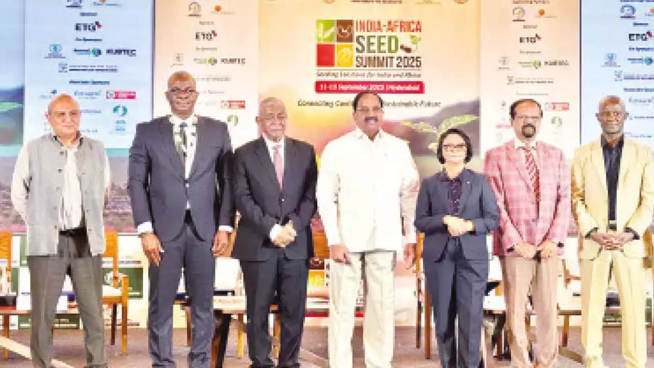 India-Africa बीज शिखर सम्मेलन ने कृषि नवाचार में अफ्रीका की वैश्विक भूमिका की पुष्टि की India-Africa बीज शिखर सम्मेलन ने कृषि नवाचार में अफ्रीका की वैश्विक भूमिका की पुष्टि की