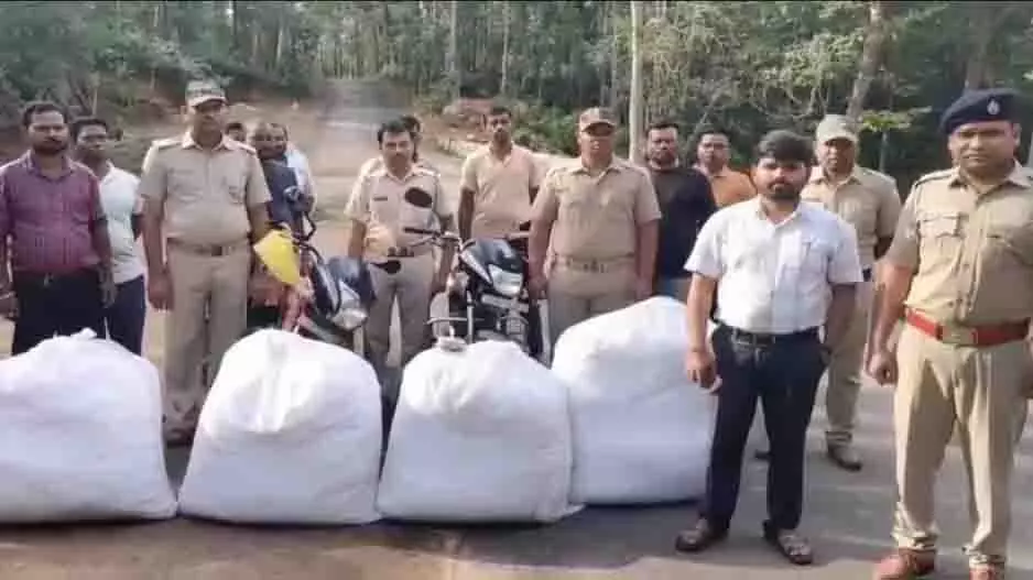 Kandhamal: 3 क्विंटल से अधिक गांजा जब्त, 7 गिरफ्तार Kandhamal: 3 क्विंटल से अधिक गांजा जब्त, 7 गिरफ्तार
