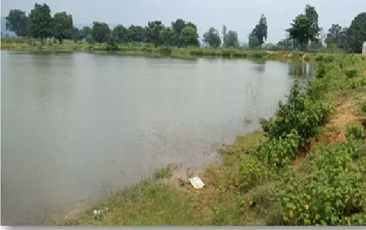 बिशुनपुर का अमृत सरोवर बना ग्रामीणों के लिए आजीविका गतिविधियों का केंद्र बिशुनपुर का अमृत सरोवर बना ग्रामीणों के लिए आजीविका गतिविधियों का केंद्र