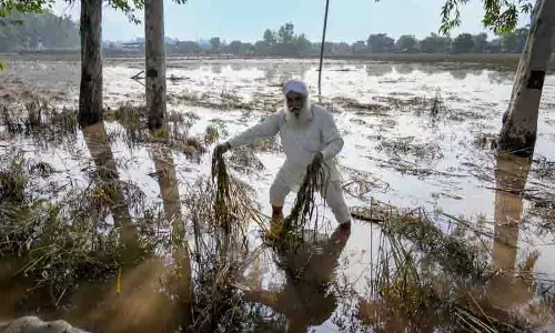 Punjab बाढ़, दो और मौतों के साथ मृतकों की संख्या 55 हुई