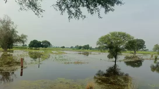 Jaipur: मानसून का ठहराव, राजस्थान में फिलहाल बारिश नहीं Jaipur: मानसून का ठहराव, राजस्थान में फिलहाल बारिश नहीं
