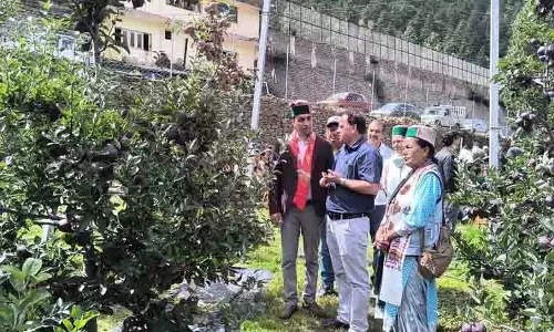 सेब उत्पादक एकजुट हुए Kalpa कार्यक्रम में नई कृषि पद्धतियों पर ध्यान केंद्रित किया गया