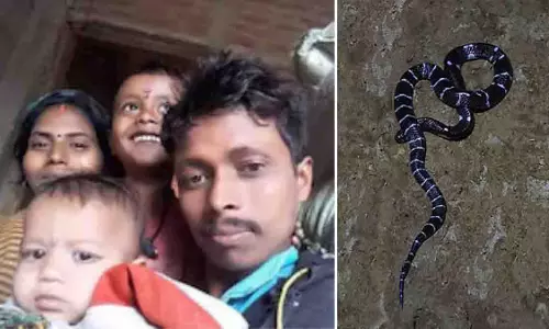 Madhya Pradesh: बालाघाट में टीवी देखते समय दो भाइयों की सर्पदंश से मौत Madhya Pradesh: बालाघाट में टीवी देखते समय दो भाइयों की सर्पदंश से मौत