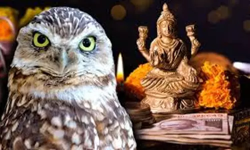 लक्ष्मी जी की सवारी उल्लू क्यों? जानें इसका धार्मिक रहस्य लक्ष्मी जी की सवारी उल्लू क्यों? जानें इसका धार्मिक रहस्य