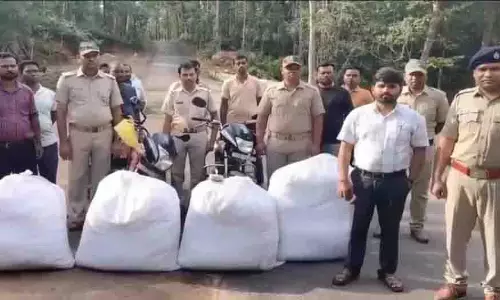 Kandhamal: 3 क्विंटल से अधिक गांजा जब्त, 7 गिरफ्तार Kandhamal: 3 क्विंटल से अधिक गांजा जब्त, 7 गिरफ्तार