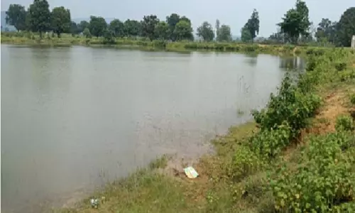 बिशुनपुर का अमृत सरोवर बना ग्रामीणों के लिए आजीविका गतिविधियों का केंद्र बिशुनपुर का अमृत सरोवर बना ग्रामीणों के लिए आजीविका गतिविधियों का केंद्र
