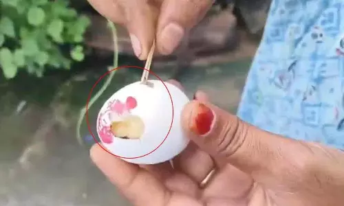 मंत्री Seethakka के क्षेत्र में गर्भवती और स्तनपान कराने वाली महिलाओं को सड़े अंडे