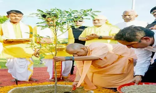 सेवा पर्व : देश में लगाए जाएंगे 1.25 करोड़ पौधे, यूपी को मिला 15 लाख पौधरोपण का लक्ष्य सेवा पर्व : देश में लगाए जाएंगे 1.25 करोड़ पौधे, यूपी को मिला 15 लाख पौधरोपण का लक्ष्य