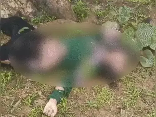 पेड़ में गिरी आसमान से बिजली, दो की मौत पेड़ में गिरी आसमान से बिजली, दो की मौत