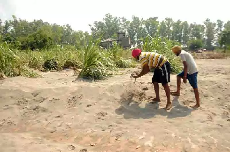 Punjab में गाद हटाने के नियम जारी, डीसी के पास भारी मशीनरी उपलब्ध Punjab में गाद हटाने के नियम जारी, डीसी के पास भारी मशीनरी उपलब्ध